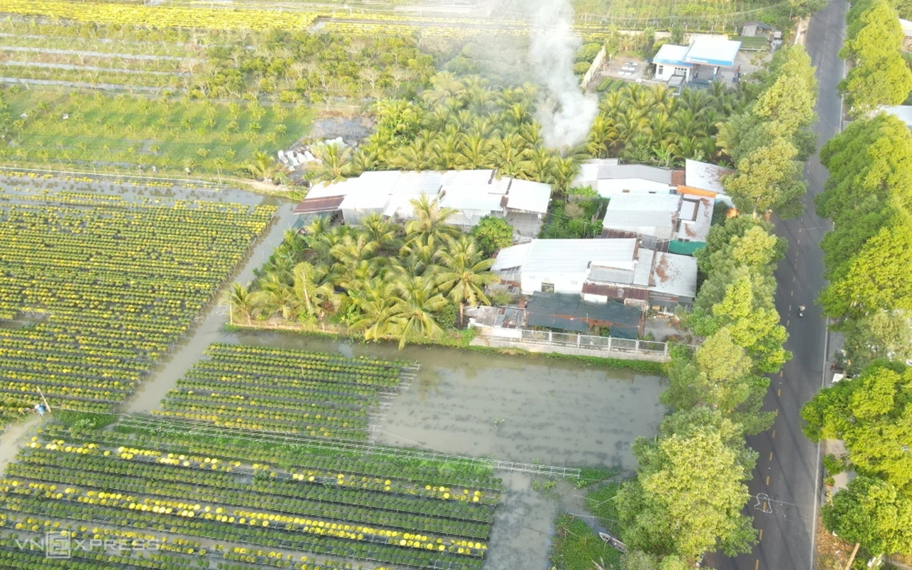 Một góc của làng hoa Sa Đéc. Ảnh: Ngọc Tài SD1-3758-1701946051.jpg